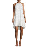Kera Sleeveless Floral-Embroidered Dress, Ivory