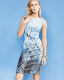 Gwenyth Sleeveless Sheath Dress, Atlantis