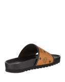 Men's Visetos Slide Sandal
