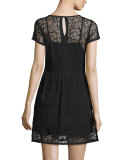 Delarosa Embroidered Lace Dress