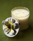 Magnolia Candle