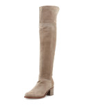 Ashby Suede Over-the-Knee Boot, Stone