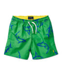 Shark Swim Trunks, Green, Size 5-7