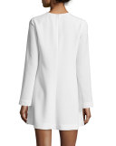 Brianna Long-Sleeve Mini Dress