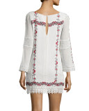 Riska Embroidered Mini Dress, Multi Colors