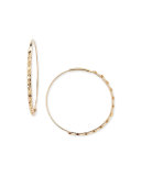 14k Small Glam Magic Hoop Earrings