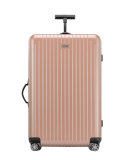 Salsa Air Pearl Rose 30" Multiwheel