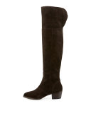 Clara Suede Over-The-Knee Boot