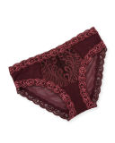 Feathers Lace Trimmed Mesh Hipster Briefs