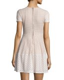 Elyze Short-Sleeve Eyelet Dress, Bare Pink Combo
