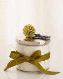 Pine Cone Candle