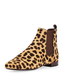 Orsay Calf-Hair Chelsea Boot, Leopard/Coconut