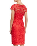 Short-Sleeve Lace Sheath Cocktail Dress
