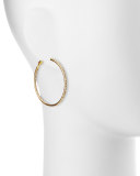 Crystal Eternity Hoop Earrings, Golden