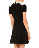 Short-Sleeve Lace-Front Dress, Black/Ivory
