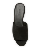Rachelle 2 Suede Block-Heel Mule Sandal