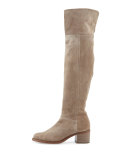 Ashby Suede Over-the-Knee Boot, Stone