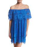 Angelique Crocheted-Lace Dress