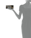Replacements Cylinder Crystal Evening Clutch Bag, Champagne/Jet