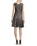 Sleeveless Embroidered Fit-&-Flare Dress, Black