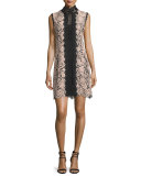 Sleeveless Lace Colorblock Mini Dress, Desert Rose