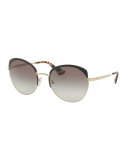 Gradient Capped Butterfly Sunglasses, Black