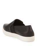 Pierce Perforated Leather Skate Sneaker, Black