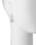 Round Cubic Zirconia Drop Earrings