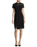 Alma Lace Sheath Dress