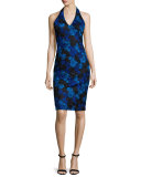 Halter-Neck Floral-Lace Cocktail Dress, Cobalt/Black