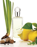 Vetyver Fragrance