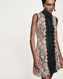 Sleeveless Lace Colorblock Mini Dress, Desert Rose