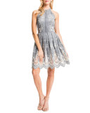 Judith Sleeveless Embroidered Pleated-Skirt Halter Dress