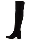 Elina Suede Over-the-Knee Boot, Black