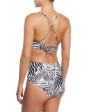 Phoenix Embroidered Cutout One-Piece Swimsuit