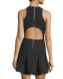 Sabine Sleeveless Crepe Fit-and-Flare Dress, Black