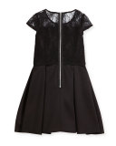 Cap-Sleeve Lace & Ponte Dress, Black, Size 8-16