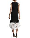 Sleeveless Lace & Crepe Fit-and-Flare Dress, Onyx