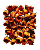Prive Rose d'Arabie Intense, 100 mL