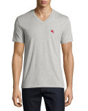 Lindon Cotton V-Neck T-Shirt, Gray