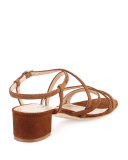 Atrita Strappy Suede Sandal, Medium Brown