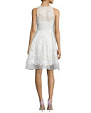 Sleeveless Fit-and-Flare Lace Dress 