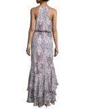 Francesca Sleeveless Printed Maxi Dress, Henna