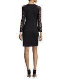 Lace-Sleeve Sheath Dress