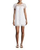 Kastra Embroidered Lace Dress