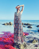 Sleeveless Wisteria-Embroidered Gown, Black/Multi