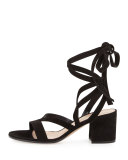 Strappy Suede Ankle-Wrap Sandal, Black