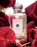 Red Roses Cologne, 3.4 oz.