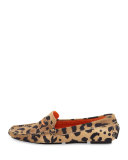 Roadster Leopard-Print Suede Driver, Leopard