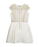 Cap-Sleeve Lace & Ponte Combo Dress, Ivory/Gold, Size 6-14